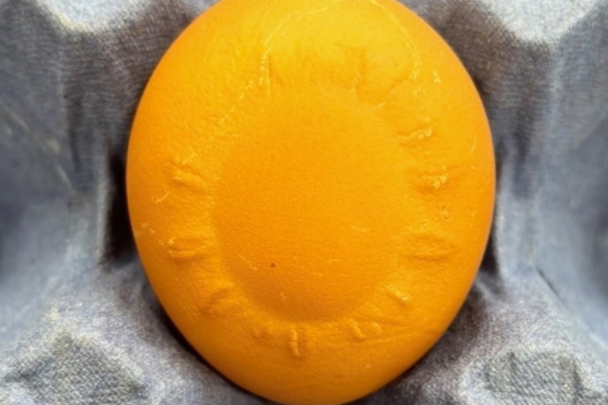 Sun Egg